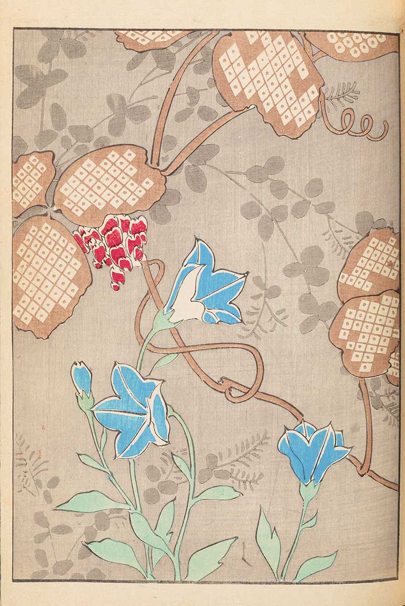 Blue flowers and vine Japanese woodblock print
