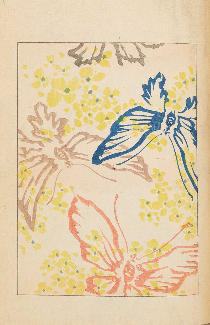 Colourful butterflies Vintage Japanese Graphic image