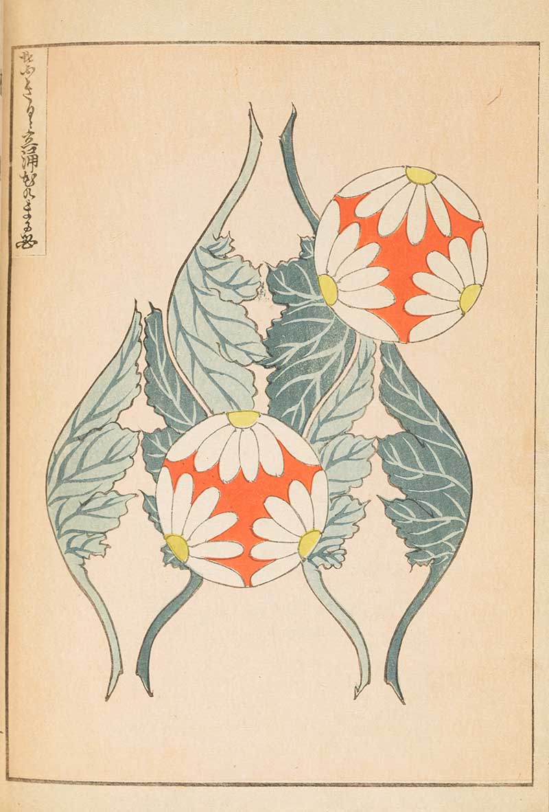 Vintage Japanese graphic woodblock art of daisy balls and leaves