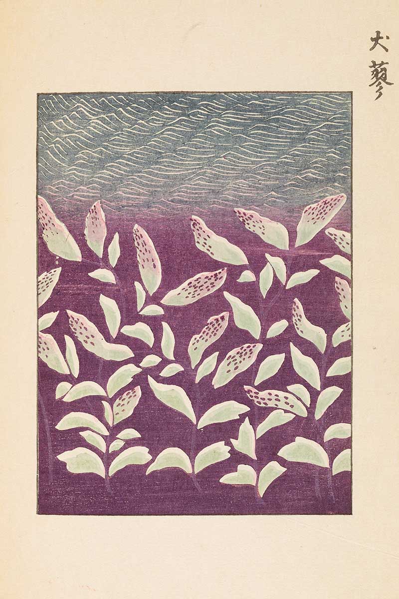 Leaves on purple Japanese graphic woodblock print