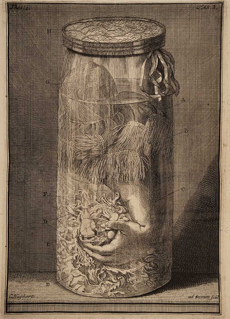 Arm and Hand in  speciemen jar drawing by Fredrick Ruysch
