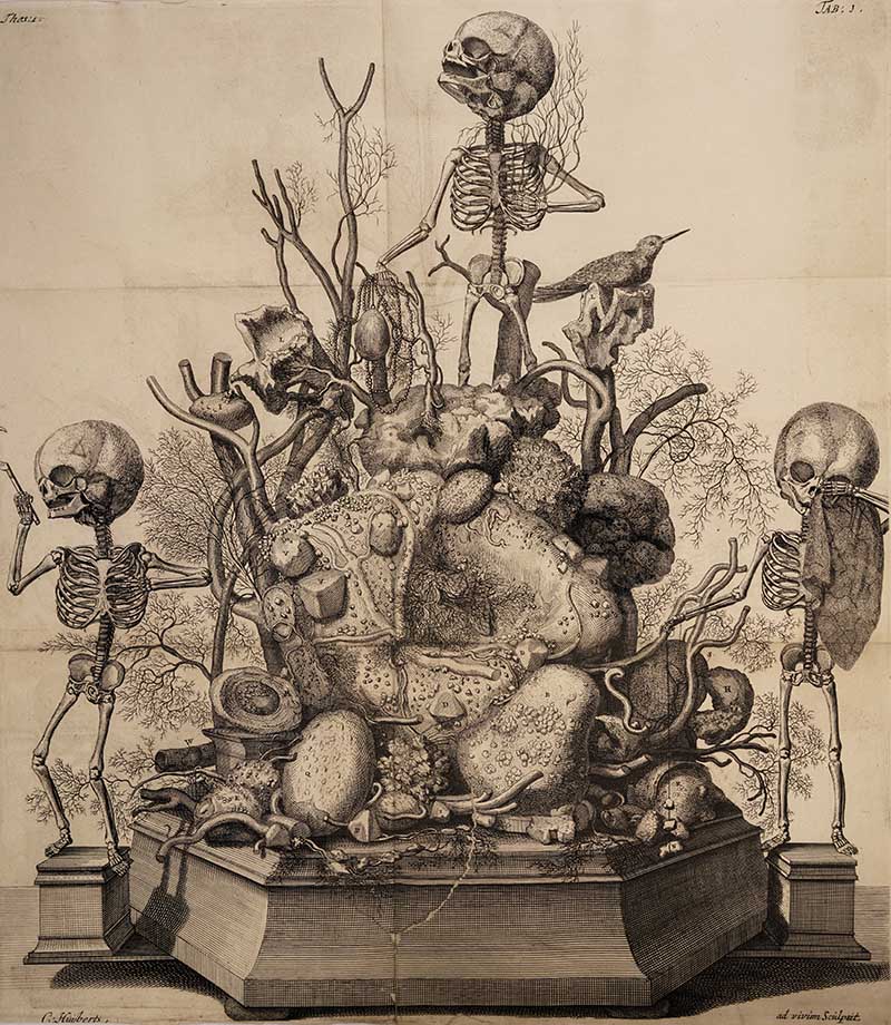 Skeletons with human reimaons Death Momento Fredrick Ruysch