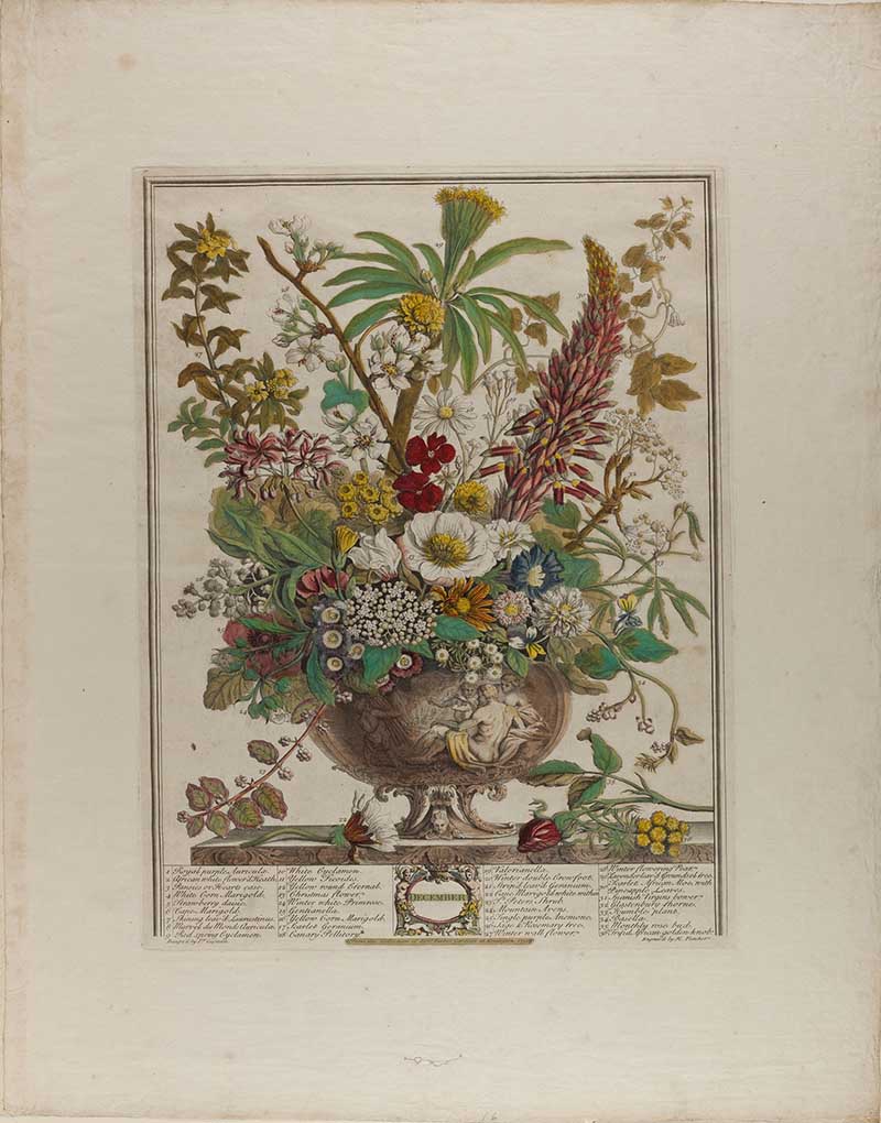 December flowers from 12 months of flowers by Henry Fletcher Holly, ivy, laurel, and pine are joined by Christmas roses and bright berries. Citrus blossoms