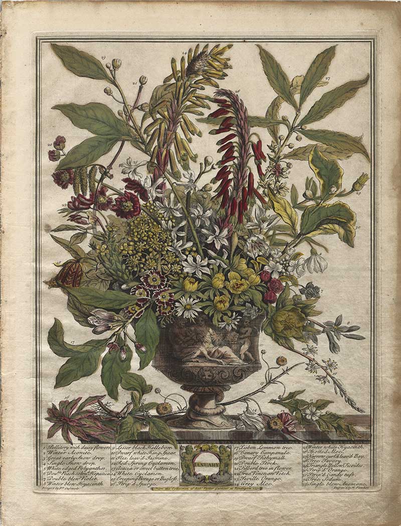 Haney Fletchers 12 Months of flower January Bouquet in a classical urn