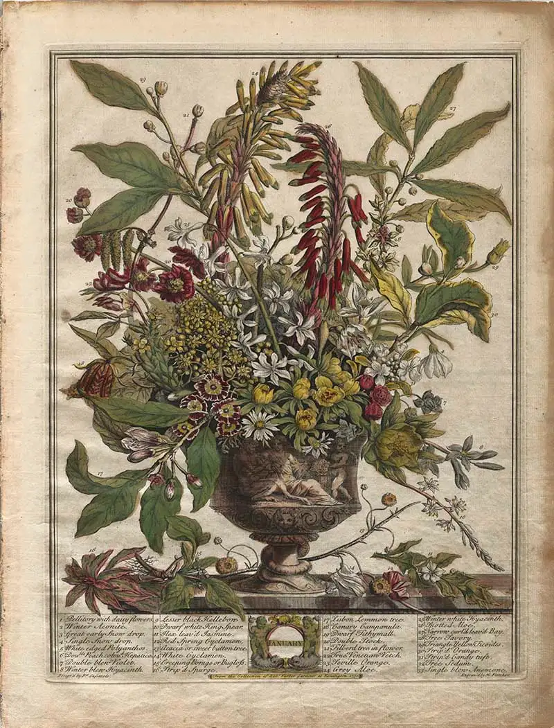 Haney Fletchers 12 Months of flower January Bouquet in a classical urn