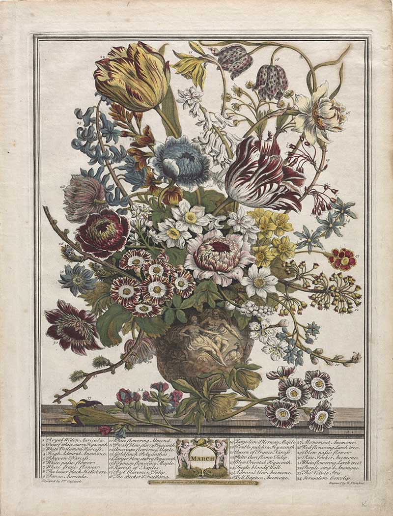 Henry Fletcher's March bouquet of flowers Golden daffodils and primroses dominate, with early tulips and anemones woven through. Violets and hyacinths hellebores and pilewort
