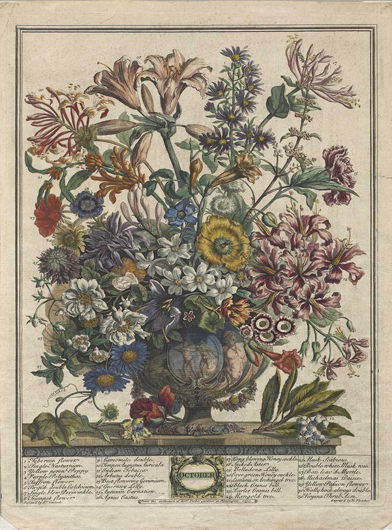 October flowers from Henry Fletchers 12 months of flowers marigolds and late roses, along with dahlias and chrysanthemums. Ivy and berried branches