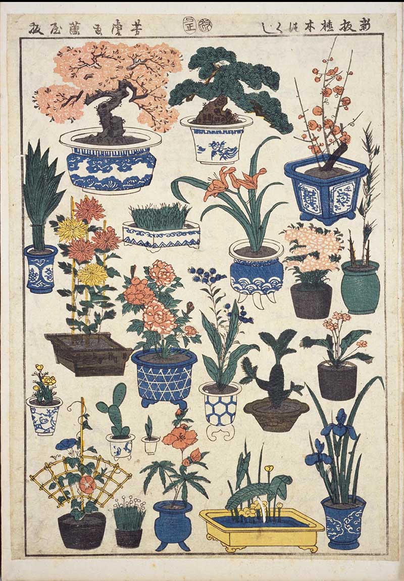 Vintage Japanese toy prints of household potted plants