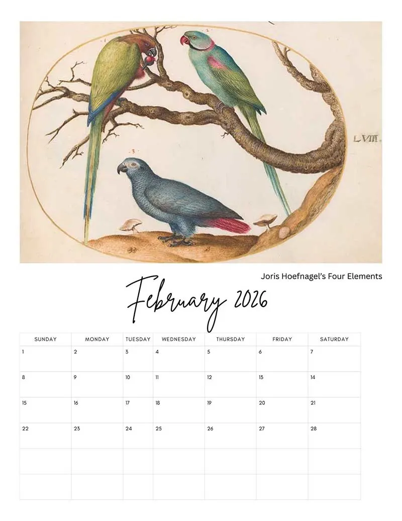 Joris Hoefnagel's four elements Febrauary Page in Pictureboxblue Calendar