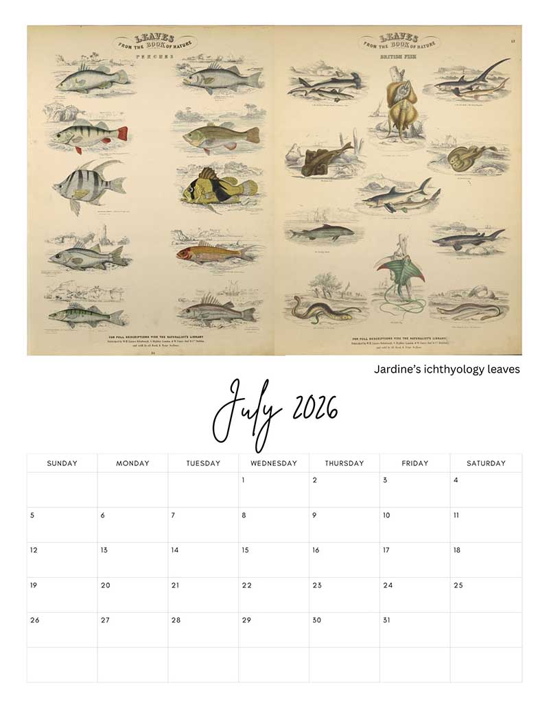 Jardine's Itchology Prints for July Pictureboxblue Calendar