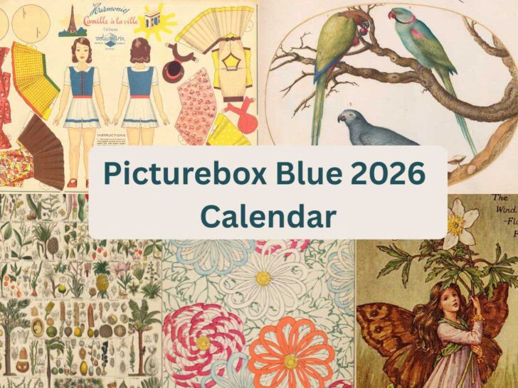 pictureboxblue calendar 2026 feature