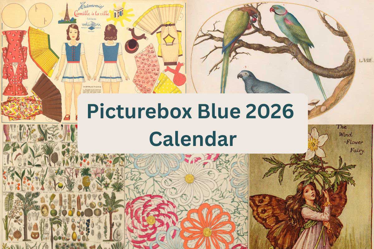 pictureboxblue calendar 2026 feature