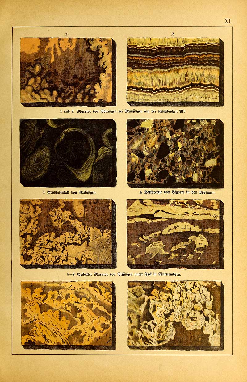 Vintage German lithograph showing eight marble and limestone specimens with banded, mottled, and breccia patterns in earth tones.