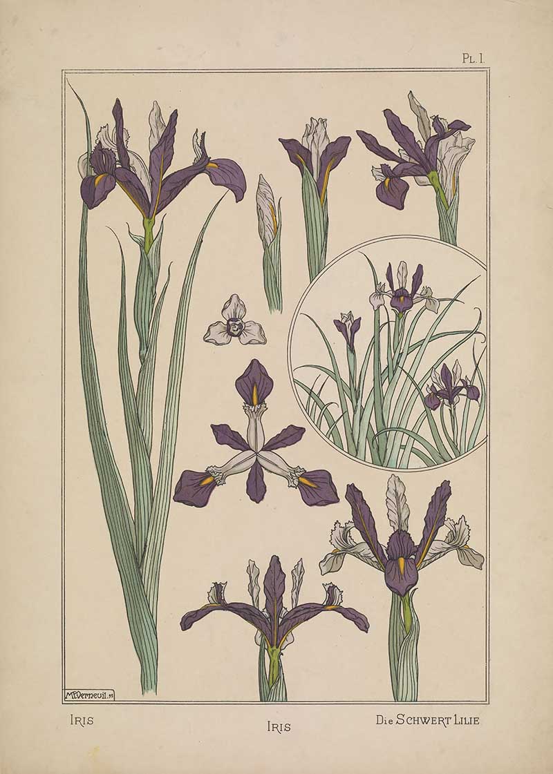 Purple Irises painted in Art Nouveau style by Maurice Pilard Verneuil