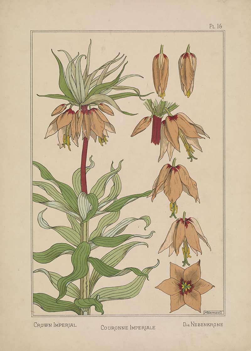 Crown Imperial Art Nouveau Eugene Grasset Art Nouveau pattern design