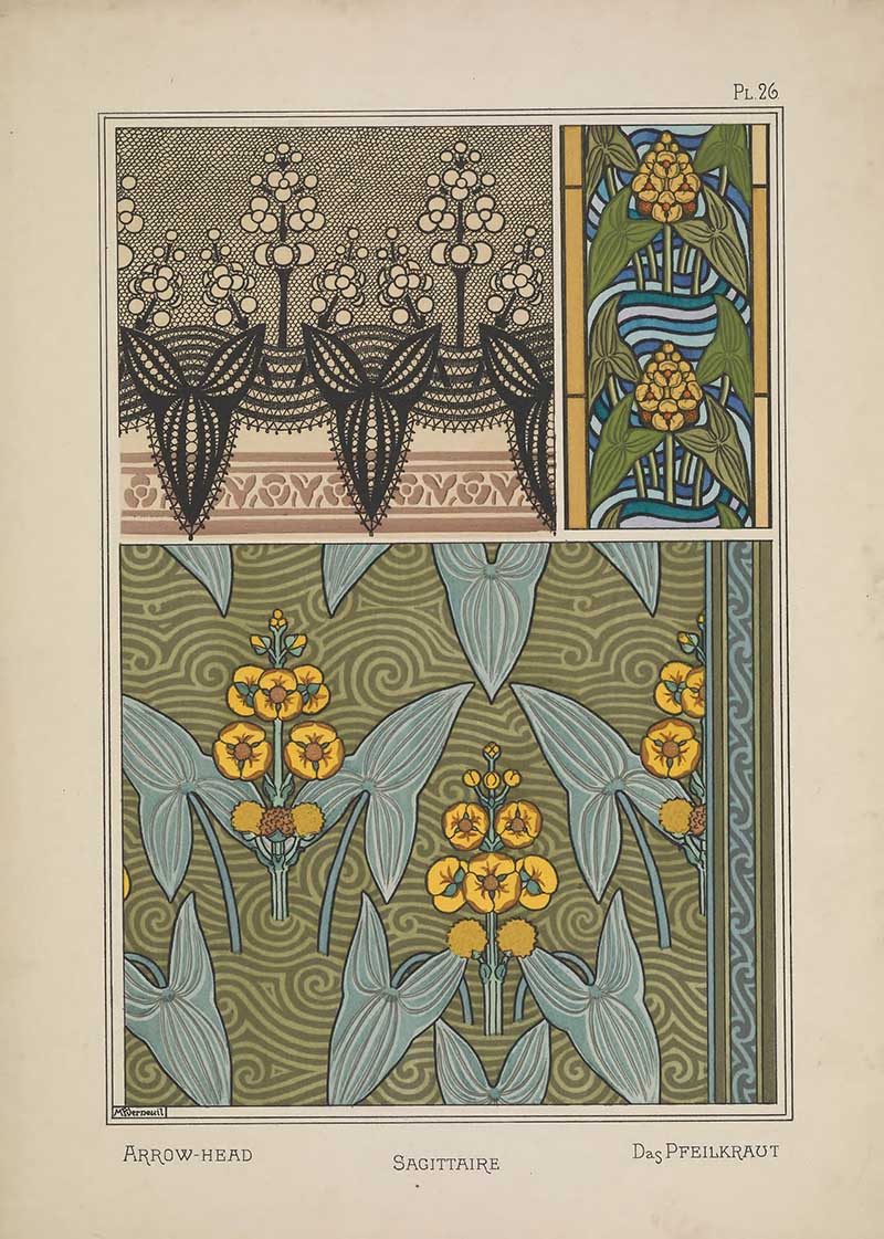 Arrow-Head Flower pattern Art Nouveau Eugene Grasset Art Nouveau pattern design