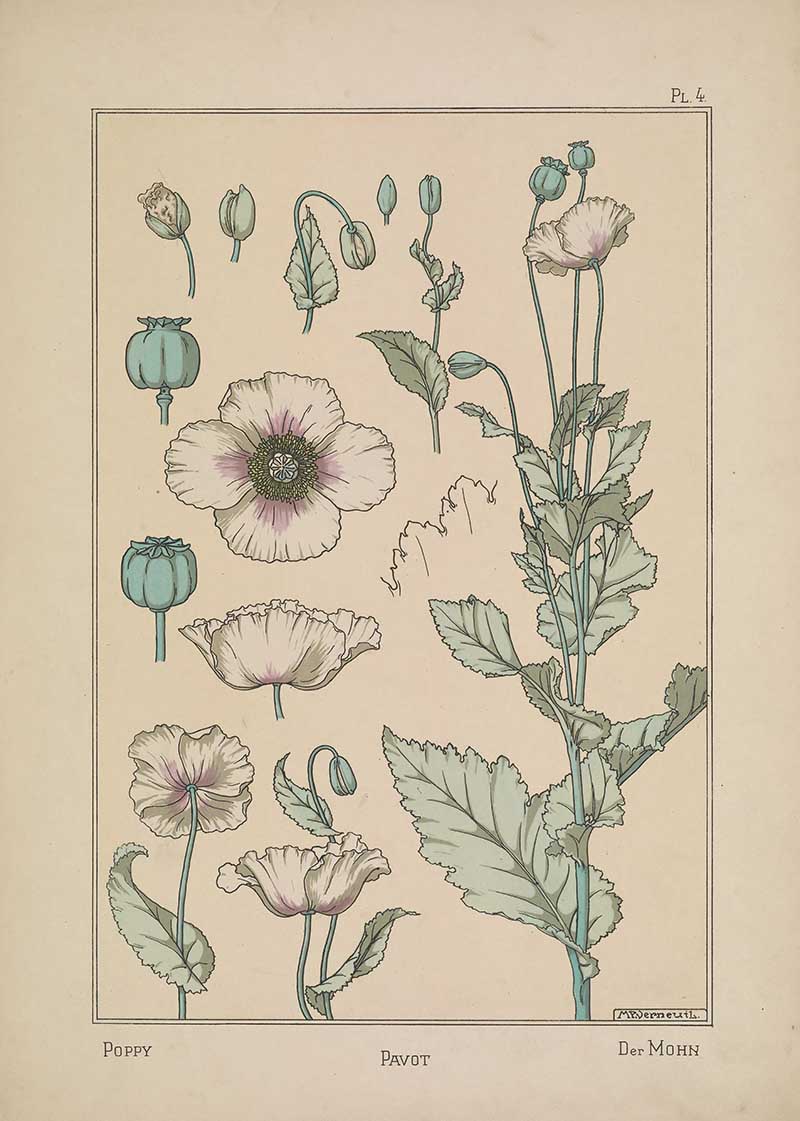 poppy Flower Art Nouveau Eugene Grasset Art Nouveau pattern design