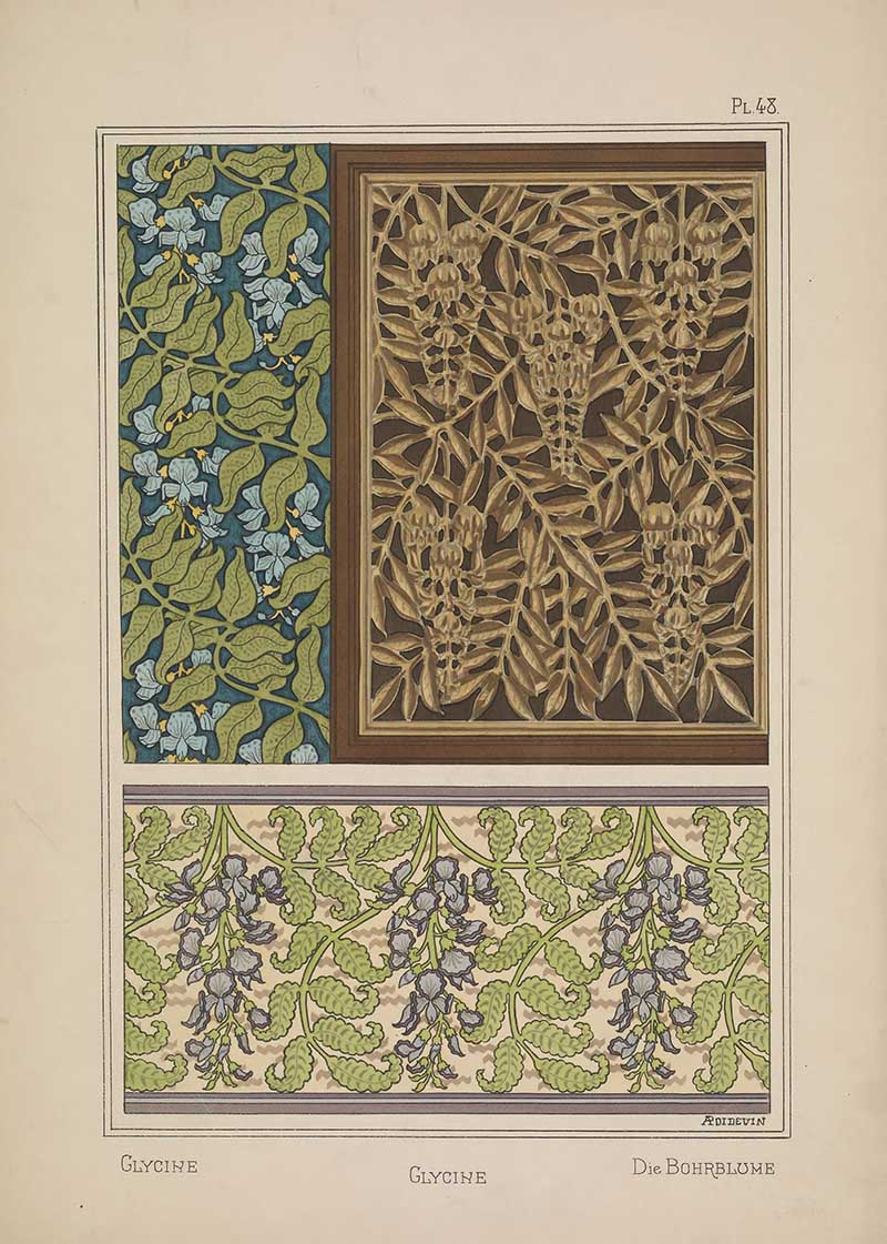 Wysteria Glydine Flower pattern 2 Art Nouveau Eugene Grasset Art Nouveau pattern design