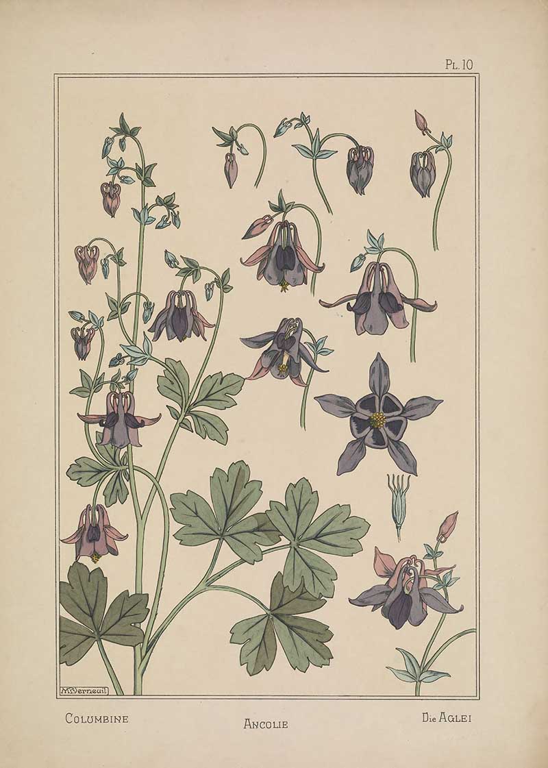 Columbine Flower Art Nouveau Eugene Grasset Art Nouveau pattern design
