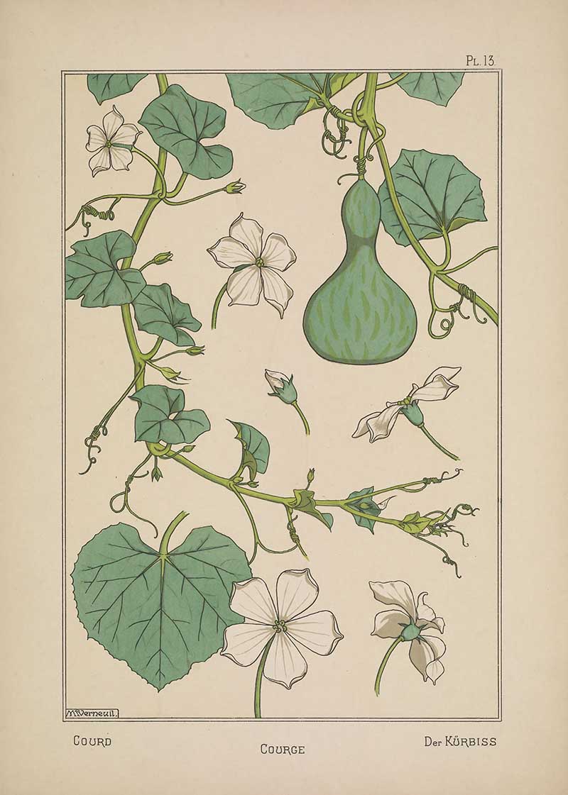 Gourd Flower Art Nouveau Eugene Grasset Art Nouveau pattern design