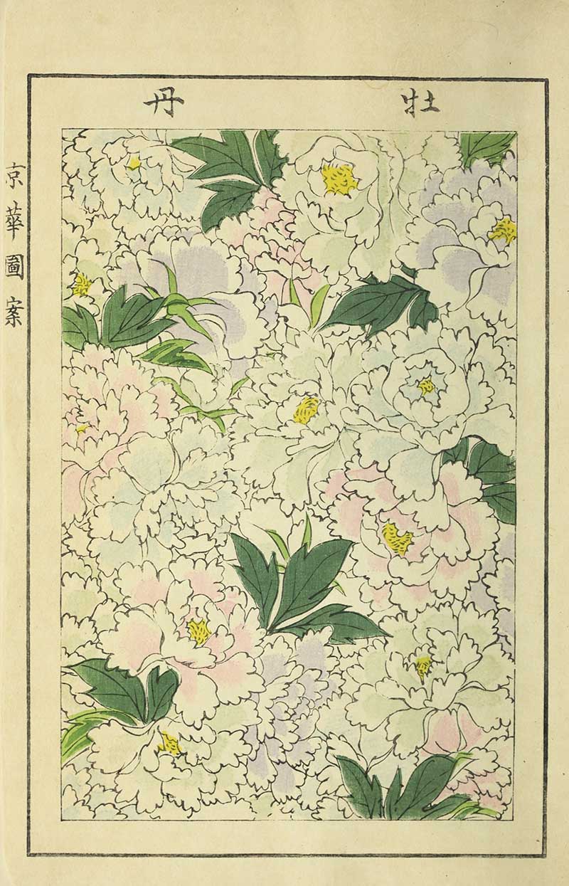 White and pink peonies with yellow centers and dark green leaves in a dense floral pattern, vintage Nippon collection