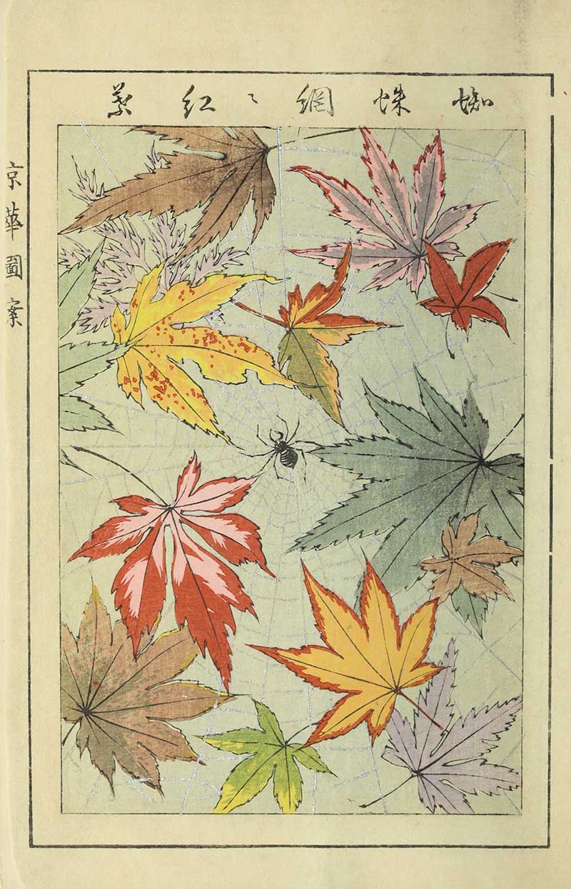 Japanese textile pattern with autumn maple leaves in red yellow orange and green caught in delicate spider web on pale green background vintage Nippon collection