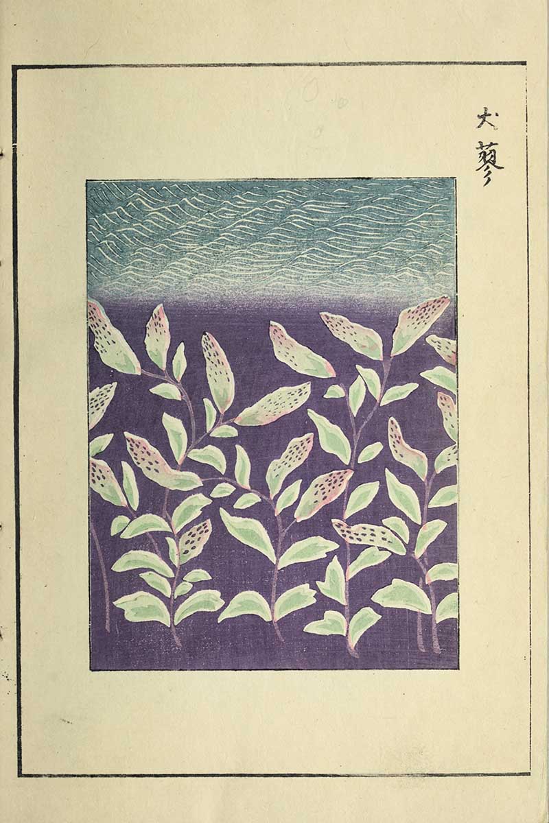 Japanese textile pattern with green leafy stems and pink seed pods on deep purple background topped with teal water waves vintage Nippon collection
