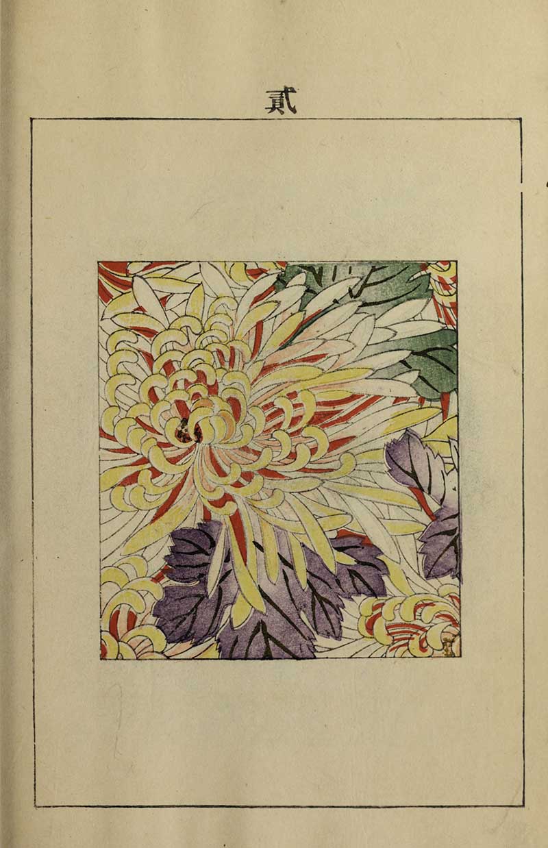 Yellow and white chrysanthemums with purple leaves on a red background, green foliage accents, vintage Nippon collection