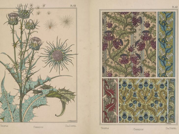 Art Nouveau Florals and Botanical Patterns by Eugene Grasset
