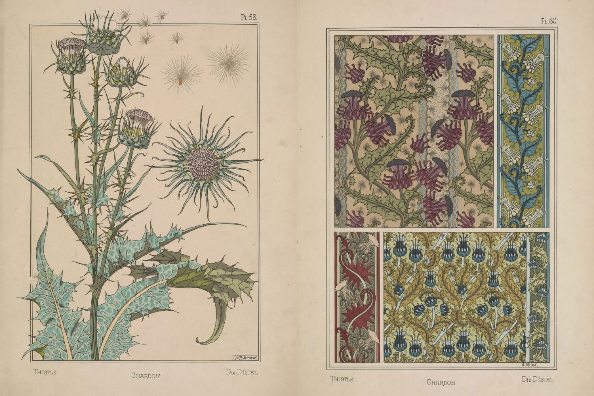 Art Nouveau Florals and Botanical Patterns by Eugene Grasset