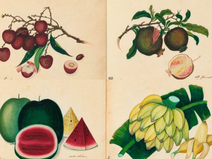 Exotic fruit watercolours feature with watermelon, banana Lychee pomegranate