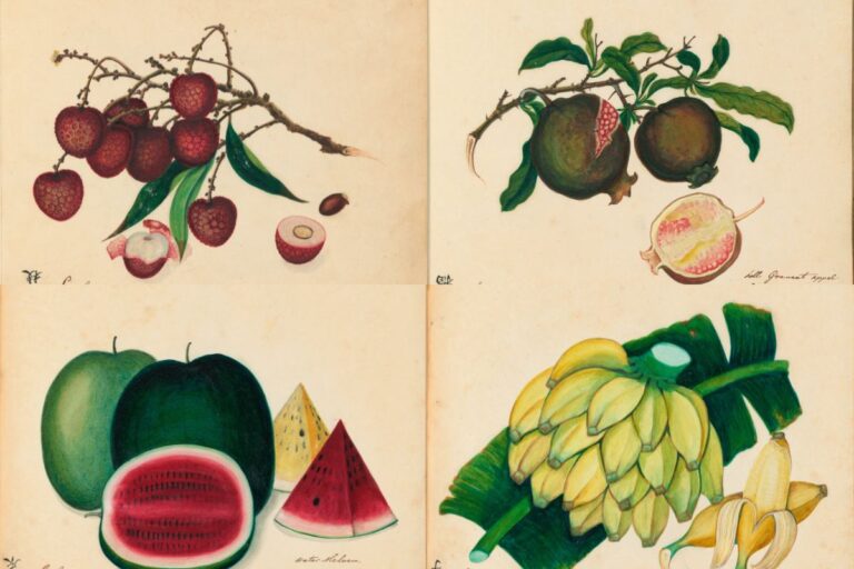 Exotic fruit watercolours feature with watermelon, banana Lychee pomegranate