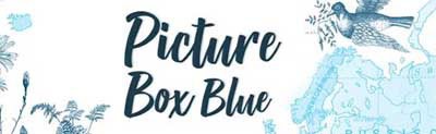 picture box blue long logo