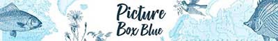 Picture Box Blue