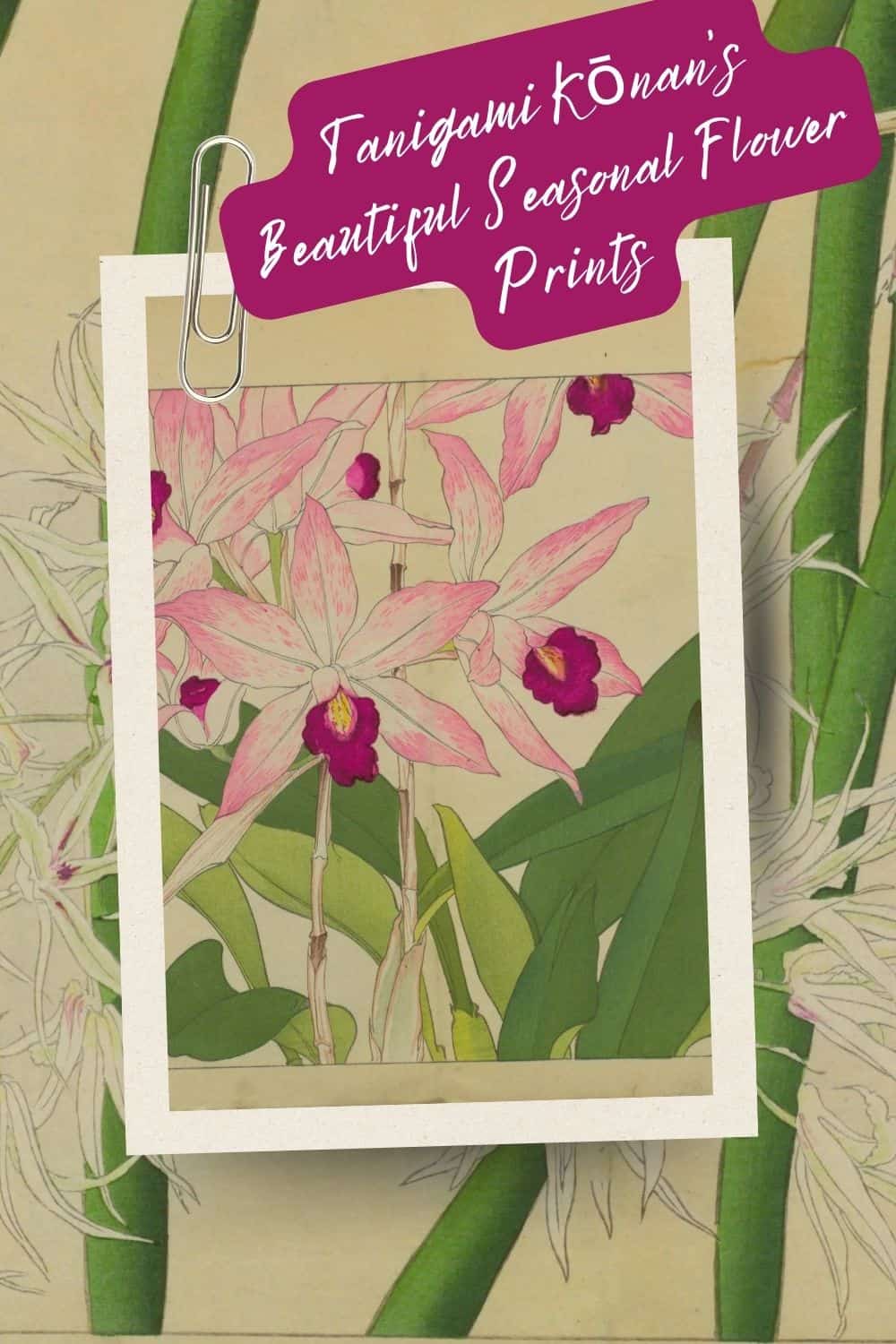 Autumn and Winter vintage Japanese flower prints