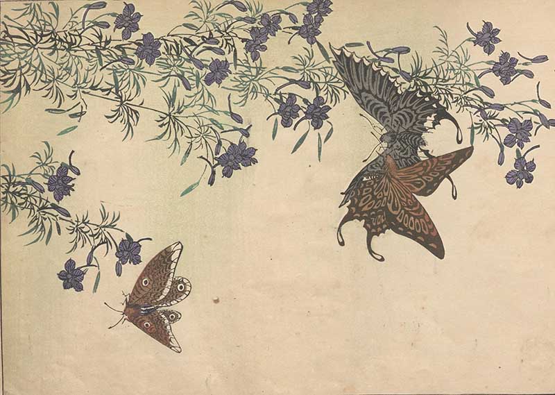 Butterflies flying beside purple flowers in a pale vintage Japanese-style natural history print
