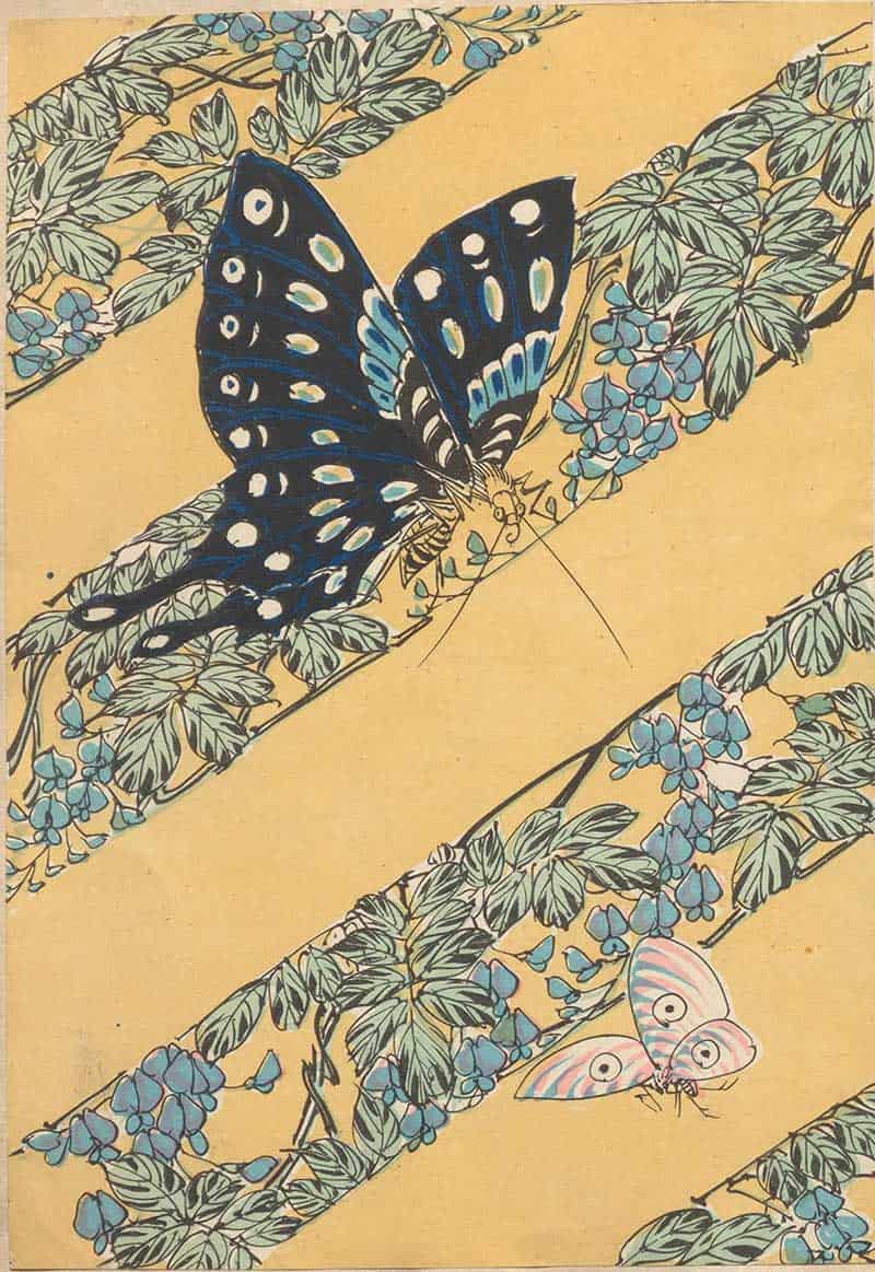Large black and blue butterfly with smaller pale butterflies on yellow and blue floral stripes in a vintage natural history print
