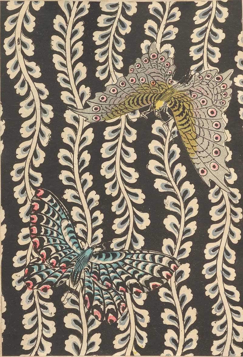 Large patterned butterflies over white vine stripes on a black vintage decorative natural history print
