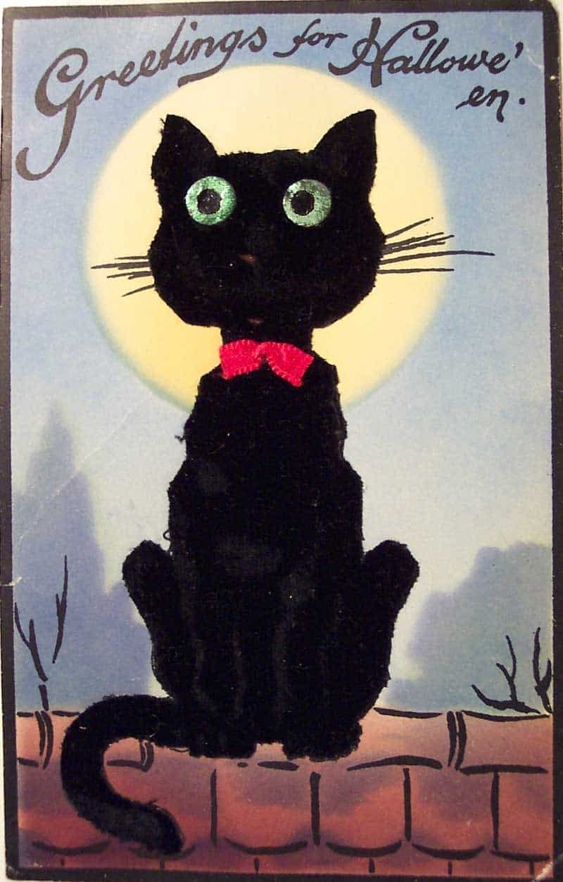 Greetings for Halloween postcard with a black cat sitting in front of a glowing full moon.