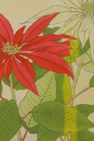Japanese flowers autumn winter pin