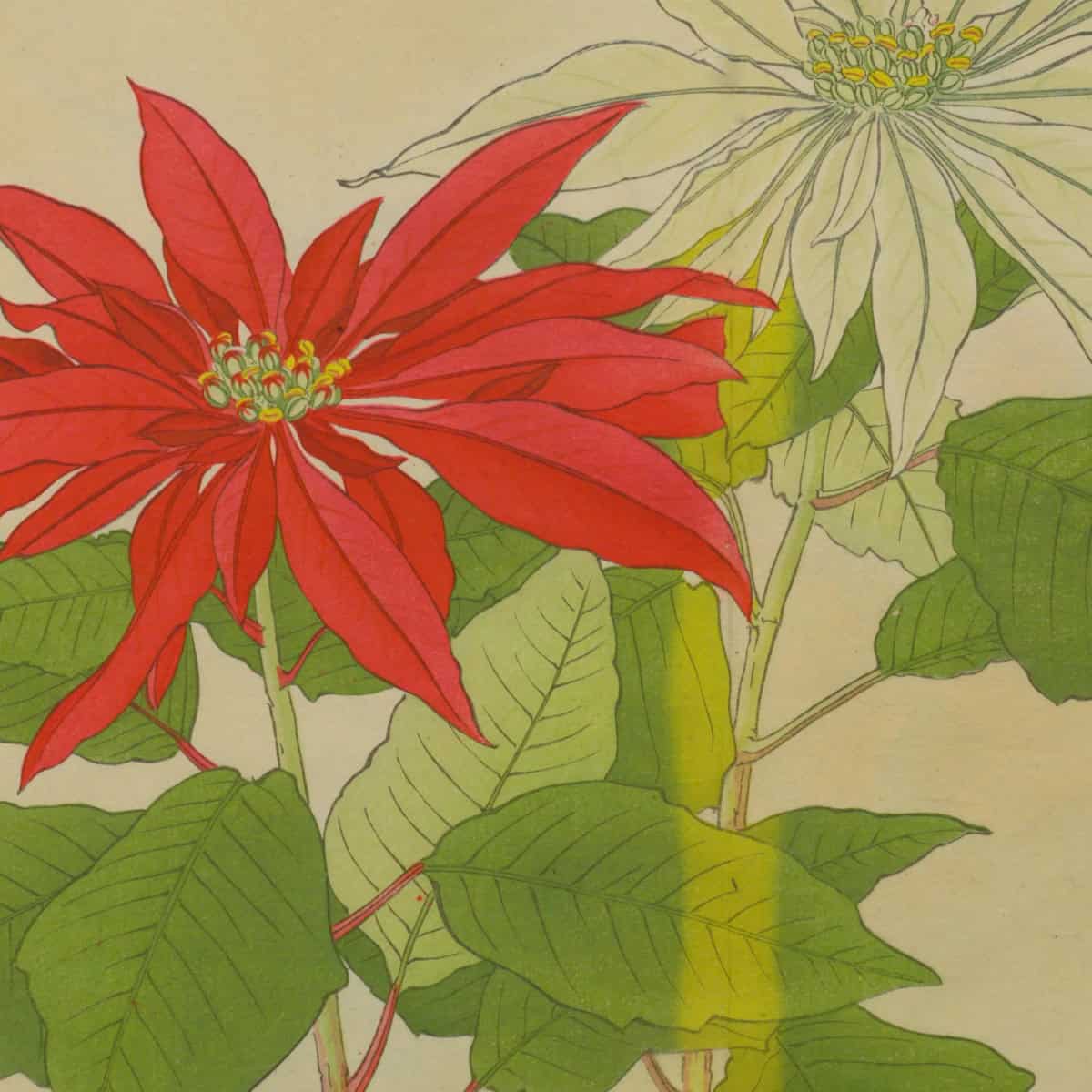 Japanese flowers autumn winter pin
