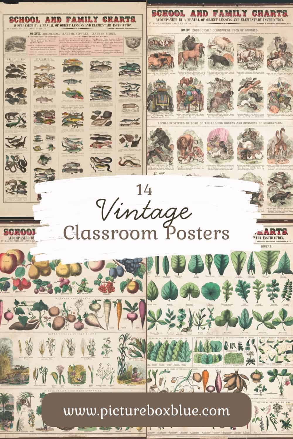Vintage classroom posts pin image