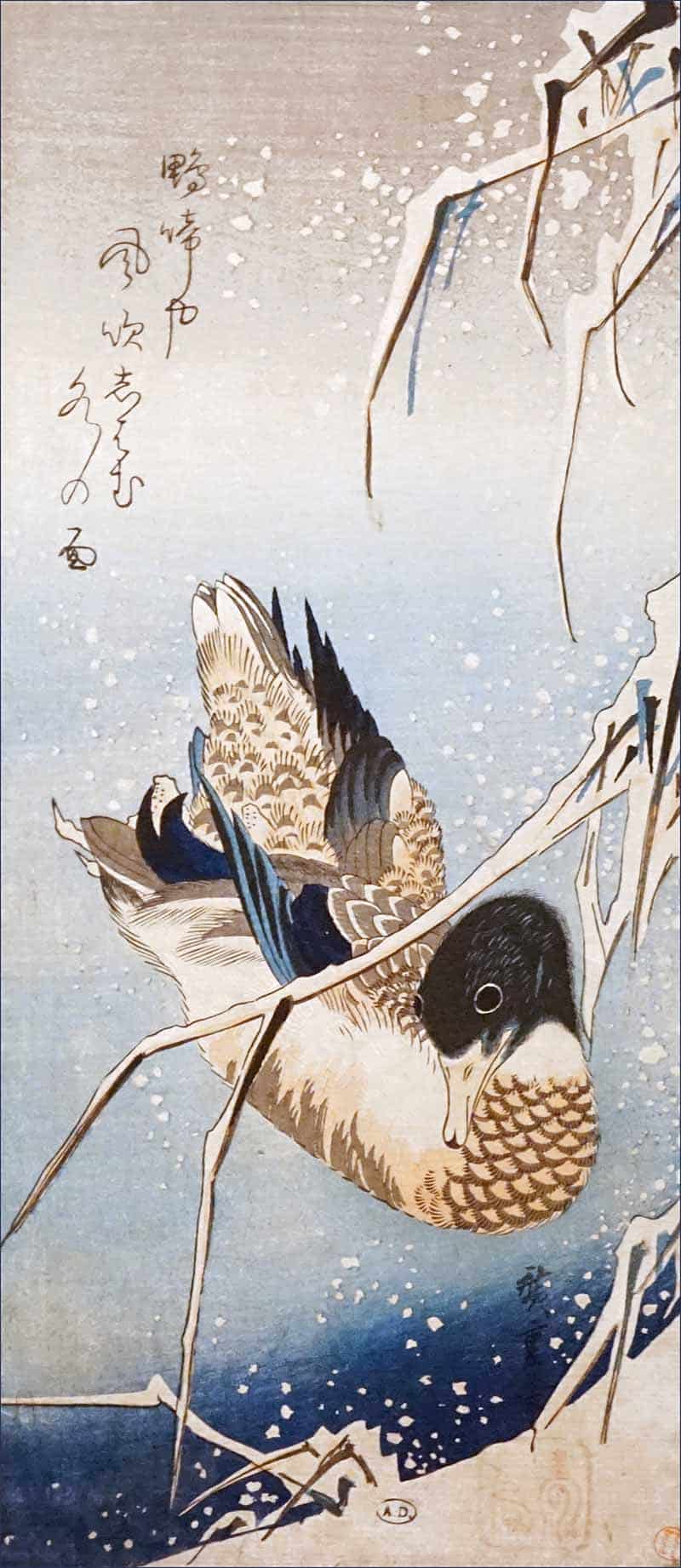 Mallard duck (Anas platyrhynchos) descending over snow-laden reeds, Japanese woodblock print by Utagawa Hiroshige (Musée des Arts Décoratifs, Paris).