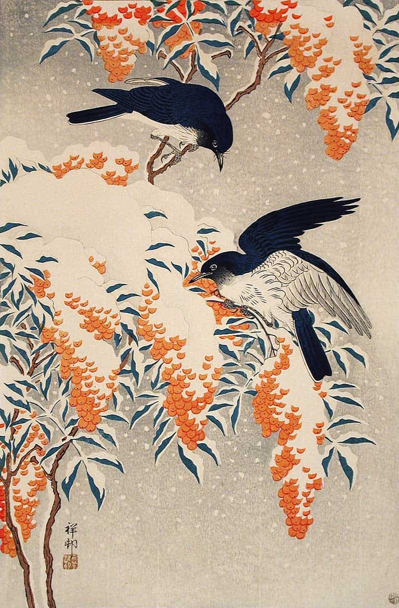 Japanese woodblock print of two blue birds perched on a flowering branch by Ohara Koson.
