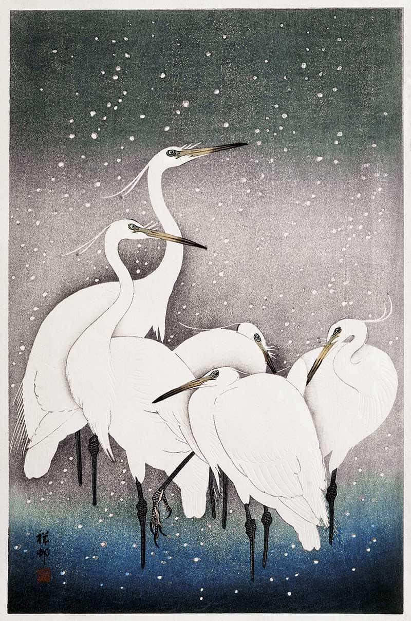 White egrets standing beneath falling snow at night, Japanese woodblock print by Ohara Koson.