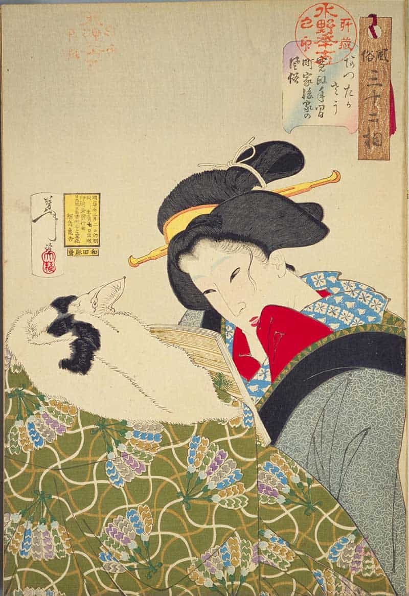 Tsukioka Yoshitoshi, Thirty-two Aspects of Customs and Manners: Warm: Habits of an urban widow of the Kansei era, showing woman in layered patterned robes holding a fluffy pet close to her chest.