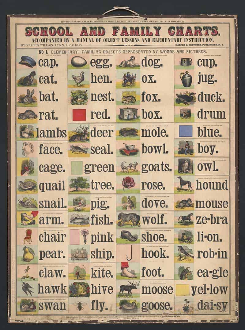 Vintage School and Family Charts object lesson print pairing simple words with pictures, including a cap, cat, dog, cup, animals, colours and everyday objects.