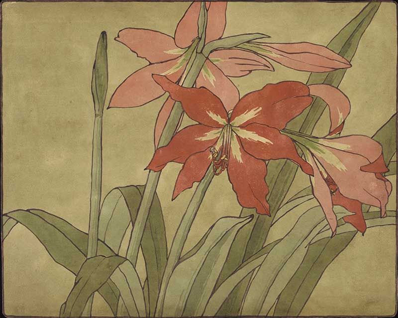 Stylized red amaryllis blooms with long green leaves on an olive background, artwork by Hannah Borger Overbeck; original publication not identified.