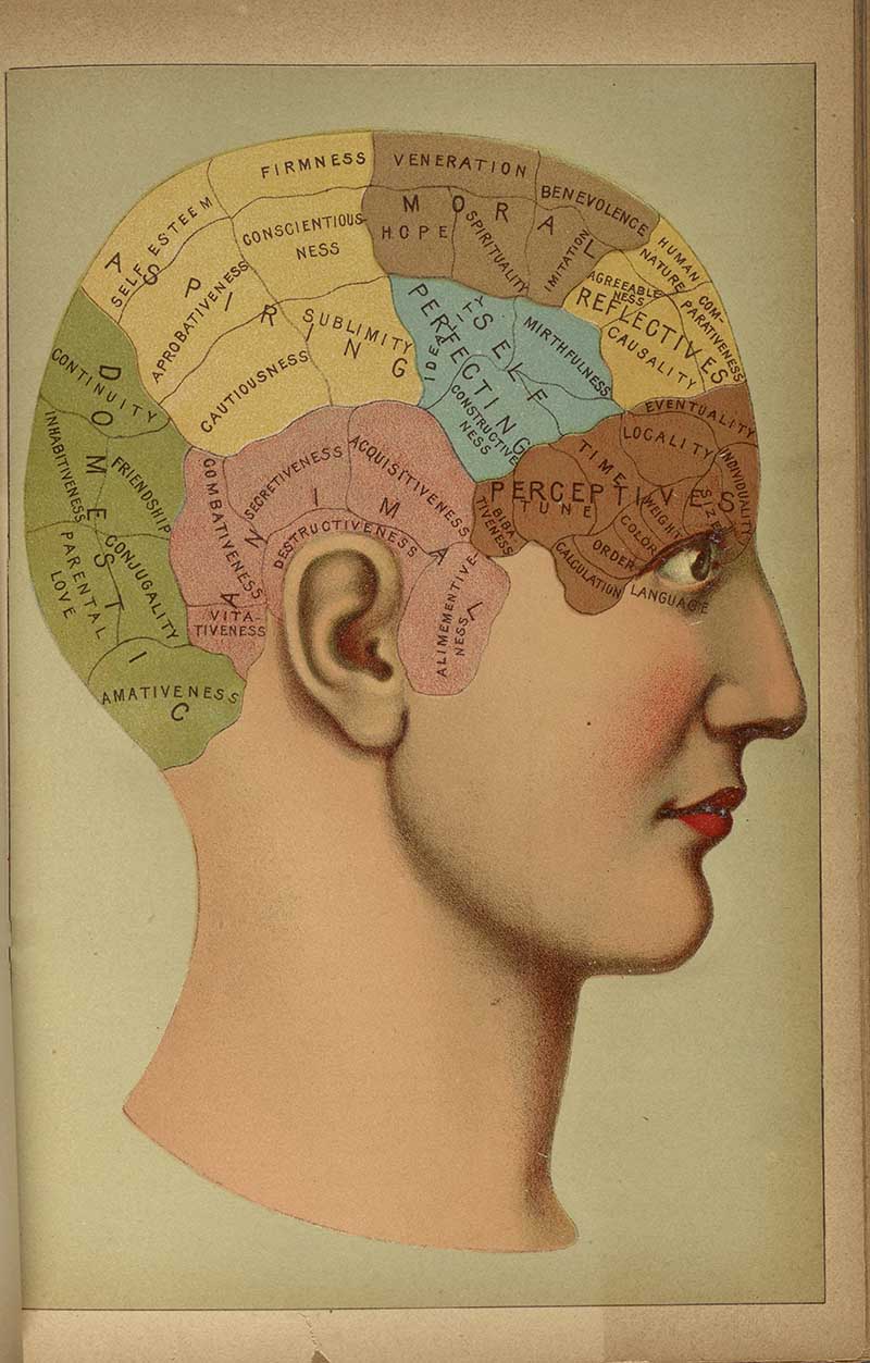 Vintage phrenology-style head diagram showing colored brain regions labeled with mental faculties and emotions