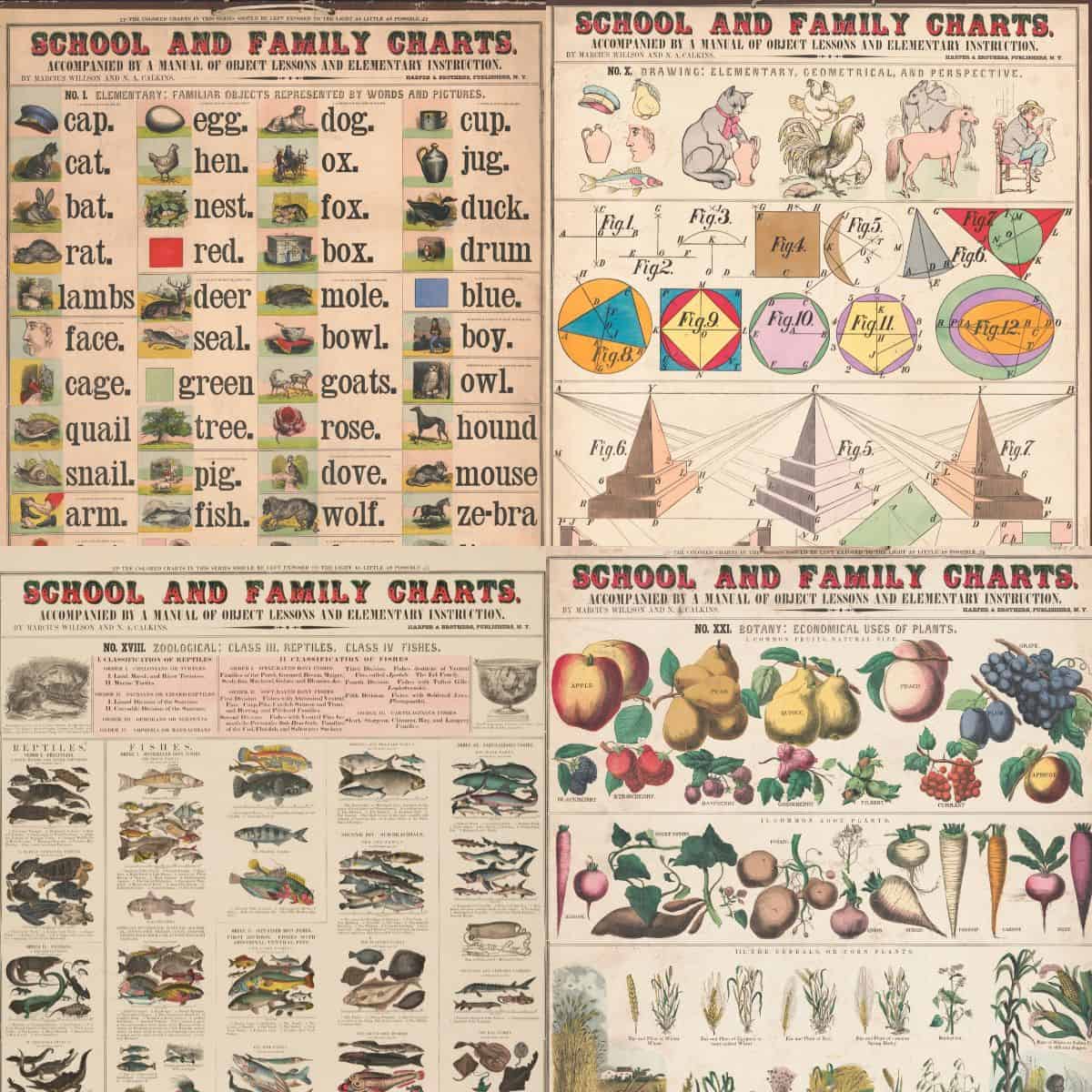 Old school charts feature images